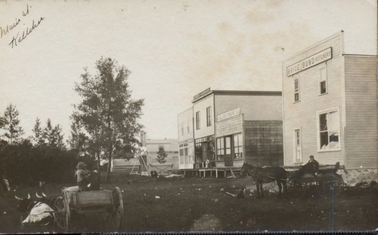 Main Street with Brice & Bond Butchers and ox cart, about 1910