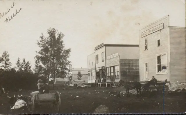 Main Street with Brice & Bond Butchers and ox cart